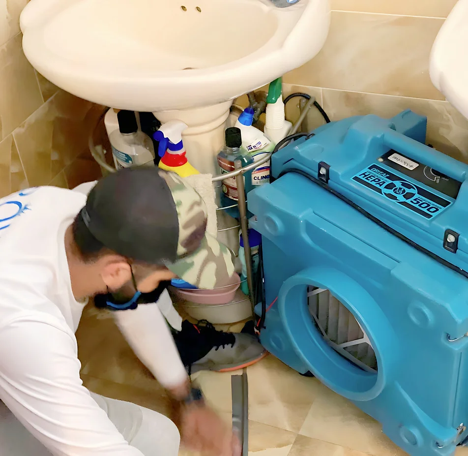 Restoration Services in my area