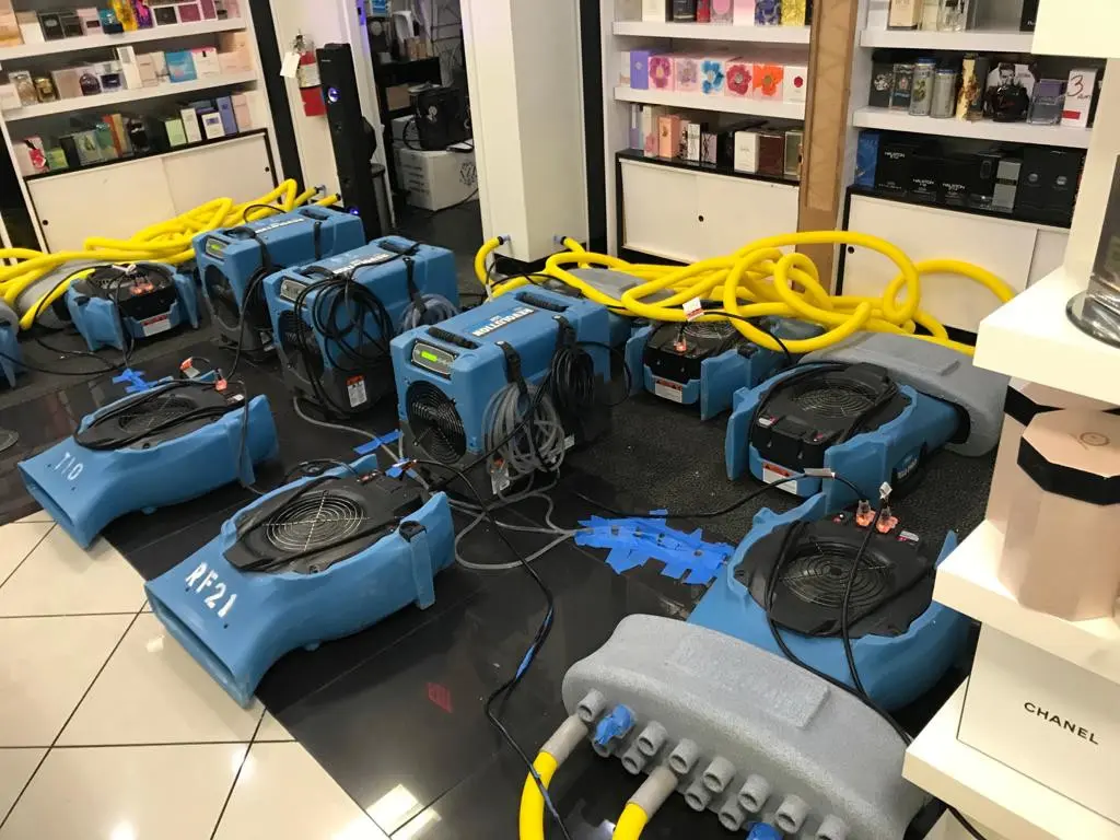 Restoration Services services